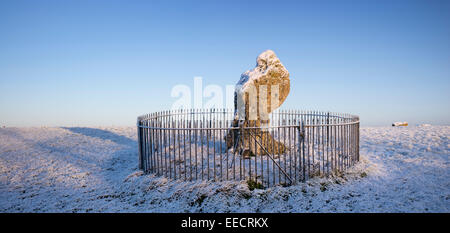 Re pietra all'Rollright Stones coperte di neve in inverno. Oxfordshire, Inghilterra. Foto Stock