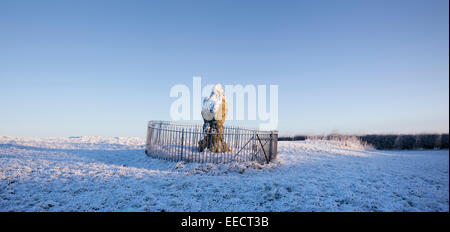 Re pietra all'Rollright Stones coperte di neve in inverno. Oxfordshire, Inghilterra. Vista panoramica Foto Stock