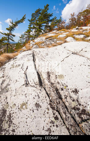 Il Lichen coperto di quarzite bianca roccia in Killarney Provincial Park, Ontario, Canada. Foto Stock