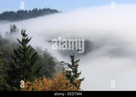 Deception Pass, sulla costa di Washington, collegamento Fidalgo e isole di Whidbey. Foto Stock