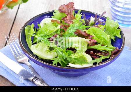 Fresca luce miscelata foglie verde insalata. La lattuga mizuna, rucola e lattuga oakleave nel vaso blu su un tavolo. Foto Stock