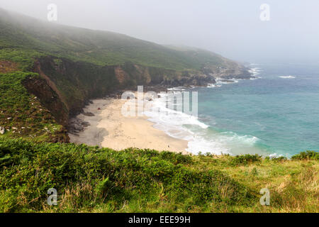 Le persone che giocano sulla spiaggia di Portheras Cove Cornwall Inghilterra REGNO UNITO Foto Stock