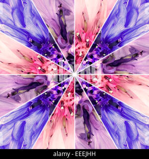 Fiore di fiordaliso centro Collage simmetrica. Immagine è fatta di diversi fuori tre cornflowers che sono diviced nello stesso pezzo Foto Stock