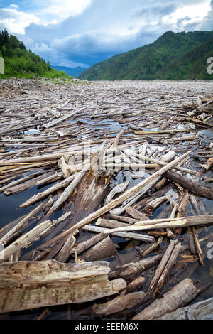 Driftwood in un fiume vicino a una diga di una centrale idroelettrica Foto Stock