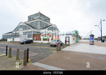 Great Yarmouth Pleasure Beach e Pier Foto Stock