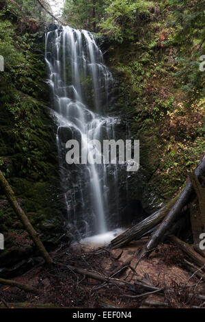 Berry Creek Waterfall a Big bacino Redwood State Park, California Foto Stock