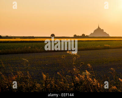 Splendida vista dell'Abbazia di Mont St Michel in primo piano, dietro i campi della Normandia illuminata dal sole dorato Foto Stock