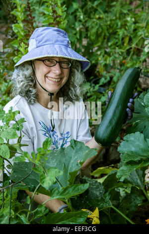 Donna giardiniere nei suoi anni sessanta con in mano una grande zucchini nel mezzo di un orto in Issaquah, Washington, Stati Uniti d'America Foto Stock