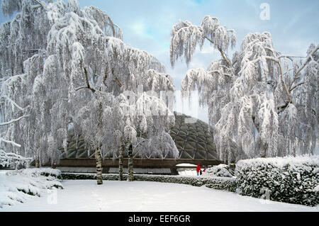 Vancouver, BC, British Columbia, Canada - Bloedel Conservatorio floreale in Queen Elizabeth Park, Winter Wonderland, alberi innevati Foto Stock