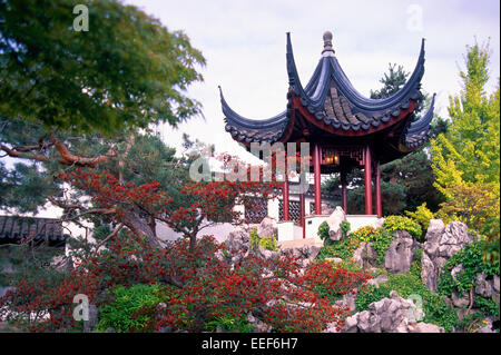 Il dott. Sun Yat-Sen classico giardino Cinese in Chinatown, Vancouver, BC, British Columbia, Canada - pagoda cinese Foto Stock