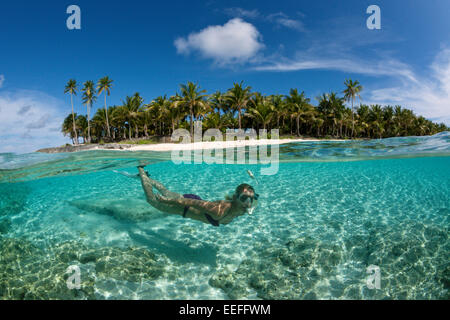 Snorkeling off Palme Isola, Fadol, Kai, ISOLE MOLUCCHE, INDONESIA Foto Stock