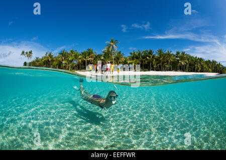 Snorkeling off Palme Isola, Fadol, Kai, ISOLE MOLUCCHE, INDONESIA Foto Stock