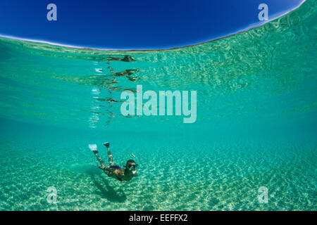 Snorkeling off Palme Isola, Fadol, Kai, ISOLE MOLUCCHE, INDONESIA Foto Stock