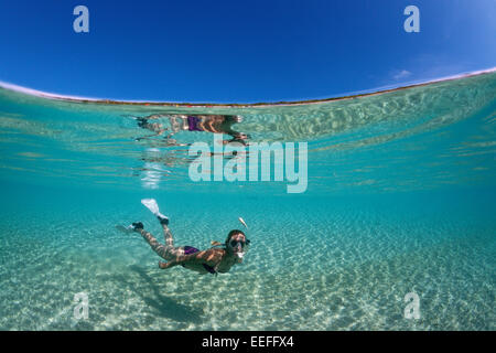 Snorkeling off Palme Isola, Fadol, Kai, ISOLE MOLUCCHE, INDONESIA Foto Stock