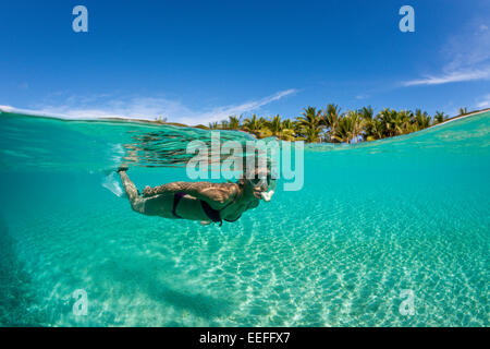 Snorkeling off Palme Isola, Fadol, Kai, ISOLE MOLUCCHE, INDONESIA Foto Stock