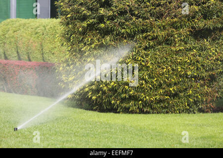 Sprinkler prato la spruzzatura di acqua su erba verde in giardino Foto Stock