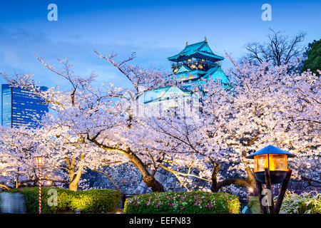 Osaka, Giappone sakura presso il Castello di Osaka. Foto Stock