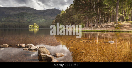 Castello sul Loch un Eilein vicino a Aviemore nelle Highlands della Scozia. Foto Stock