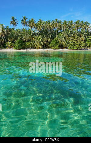 Spiaggia tropicale con vegetazione lussureggiante e acqua limpida, viste dal mare dei Caraibi Foto Stock