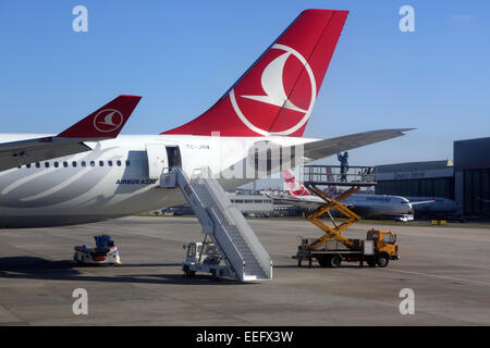 Istanbul, Turchia, parafango posteriore della compagnia aerea macchine Turkish Airlines Foto Stock
