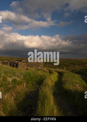 Rimmon Cottage - edificio in rovina sulla corteccia di vela Moss Foto Stock