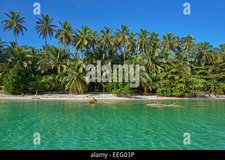 Sandy shore dei Caraibi con una lussureggiante vegetazione tropicale, vista dal mare Foto Stock