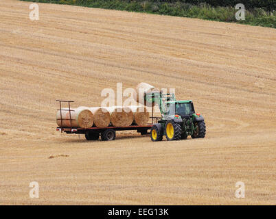 Il trattore carico di balle di paglia su un rimorchio Foto Stock