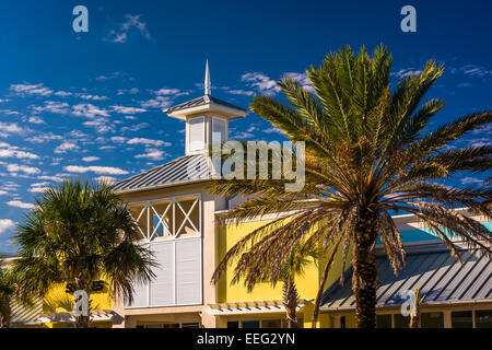 Alberi di palma e di costruire in Vilano Beach, Florida. Foto Stock