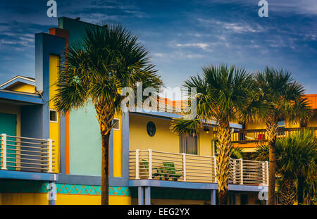 Palme e colorato hotel in Vilano Beach, Florida. Foto Stock