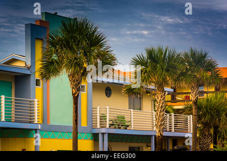 Palme e colorato hotel in Vilano Beach, Florida. Foto Stock