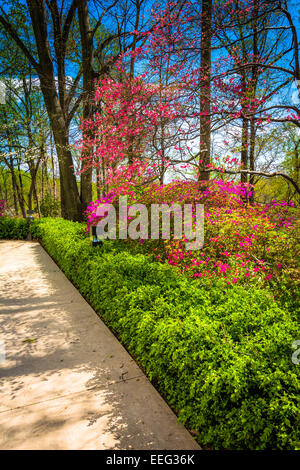 Percorso attraverso giardini presso la Washington DC Tempio mormone in Kensington, Maryland. Foto Stock