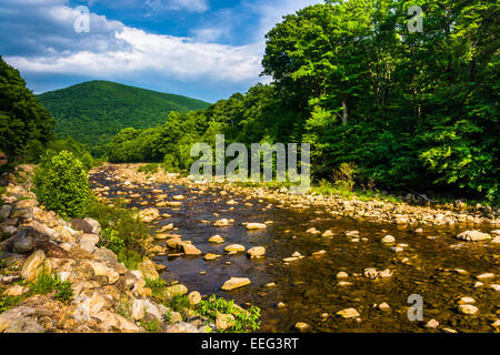 Red Creek, nel rurale Potomac Highlands della West Virginia. Foto Stock