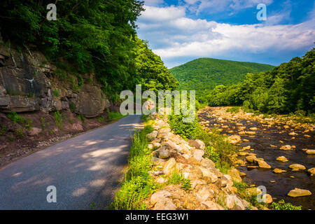 Strada lungo Red Creek, nel rurale Potomac Highlands della West Virginia. Foto Stock