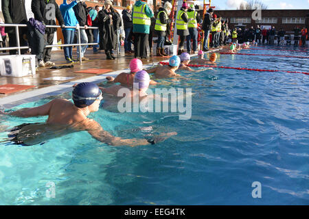 Londra, UK, 17 gennaio, 2015. Nuotatori in acqua e pronto per la gara. Credito: Susanne Masters/Alamy Live News Foto Stock