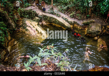 Rock pool a Taracumbie Falls, Bathurst Island Isole Tiwi, Territorio del Nord, l'Australia Foto Stock