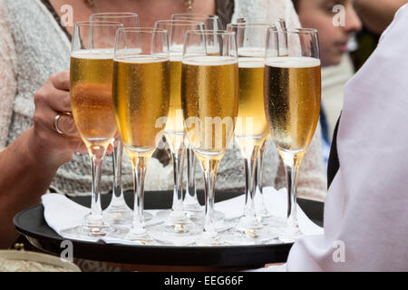 Bicchieri di champagne servito sul vassoio