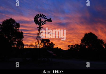 Sunrise nell'Outback, South Australia Foto Stock
