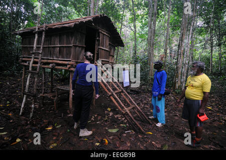 Visitare la capanna di replica di costruire in loco dove Alfred Russel Wallace si accamparono nel 1800s mentre la raccolta gli uccelli del paradiso Foto Stock