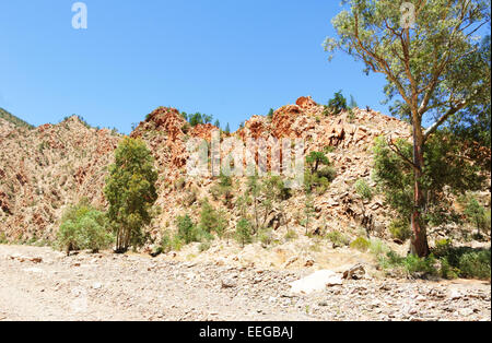 Gola Di Brachina, Flinders Ranges, Australia Meridionale Foto Stock