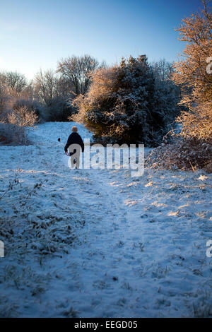 Una persona che cammina lungo una coperta di neve percorso in un SSSI nel villaggio di Lixwm durante un pesante per tutta la notte la caduta di neve nelle zone rurali Flintshire, Wales, Regno Unito Foto Stock