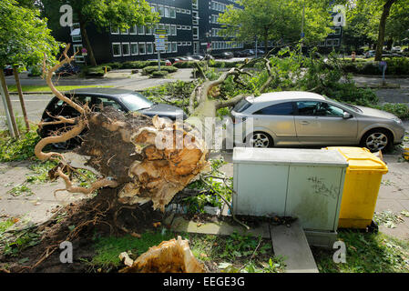 Essen, Germania, danni provocati dalla tempesta per le difficili condizioni atmosferiche di NRW Foto Stock