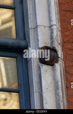 Embedded le palle di cannone, Rue de la Bourse, Lille, Francia Foto Stock