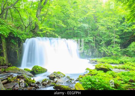 Flusso Oirase, Cyoushiootaki, Aomori, Giappone Foto Stock