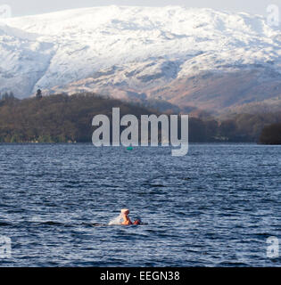 Lago di Windermere, Cumbria, Regno Unito. 18 gennaio, 2015. David Lewthwaite da Windermere passa per una nuotata sul giorno più freddo per anni. Il nuotatore ha commentato che era 'caldo come era 7c , 5c si qualifica come una rilassante nuotata!' .The Langdale Pikes sono visti ricoperta di neve in background. Credito: Gordon Shoosmith/Alamy Live News Foto Stock