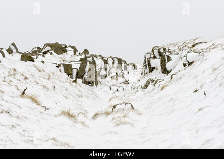 Angolo di calcare sul vallo di Adriano Foto Stock