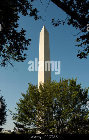 Il Monumento a Washington Foto Stock