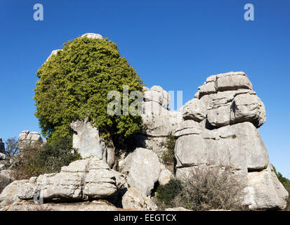 El Torcal de Antequera, Sierra del Torcal, Antequera, Malaga, Spagna. Carsica di formazioni di roccia Foto Stock