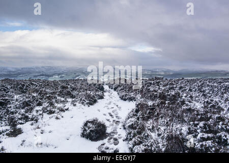 Longridge cadde, foresta di Bowland, Lancashire, Regno Unito. 18 gennaio 2015. Meteo news. Un freddo giorno di fells nella foresta di Bowland. La neve nella foresta e sul cadde rende una pittoresca scena. Credito: Gary Telford/Alamy live news Foto Stock