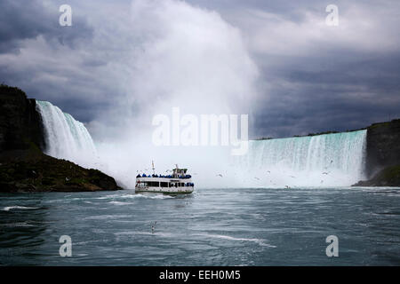 La Domestica della Foschia barca sul fiume Niagara avvicina horsehoe niagara falls ontario canada Foto Stock