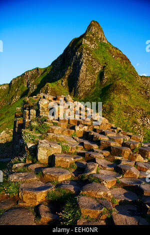 Giants Causeway north antrim coast Irlanda del Nord Foto Stock